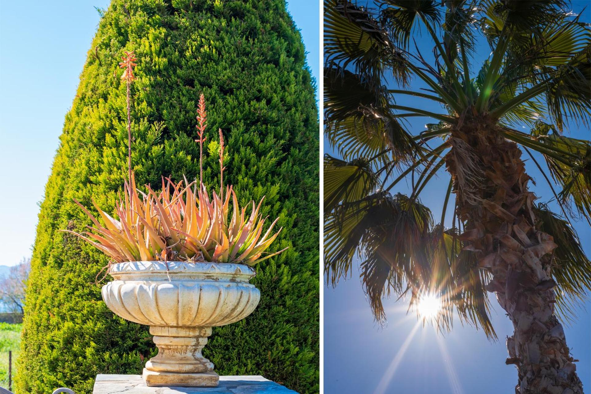 Christina'S Twin Palm Trees House Lejlighed Agria Eksteriør billede